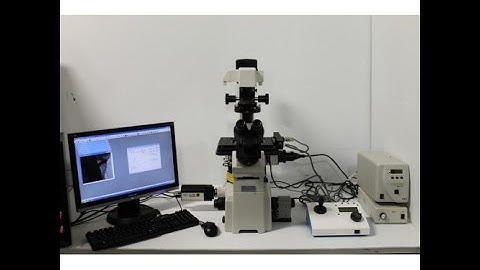 Motorized Nikon Eclipse TE2000-S Inverted Microscope Qimaging CCD Image-Pro TI-S [BOSTONIND] - 7733