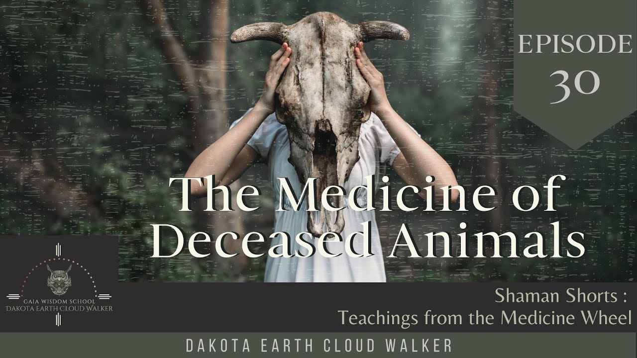 seoul searching movie [Shaman Shorts 030] Helping the Spirits of Deceased Animals and Using Medicine Bags