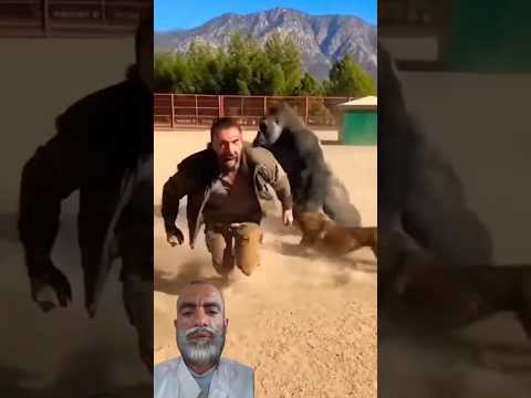 لحظة فوضى قلبت المشهد رأس ا على عقب