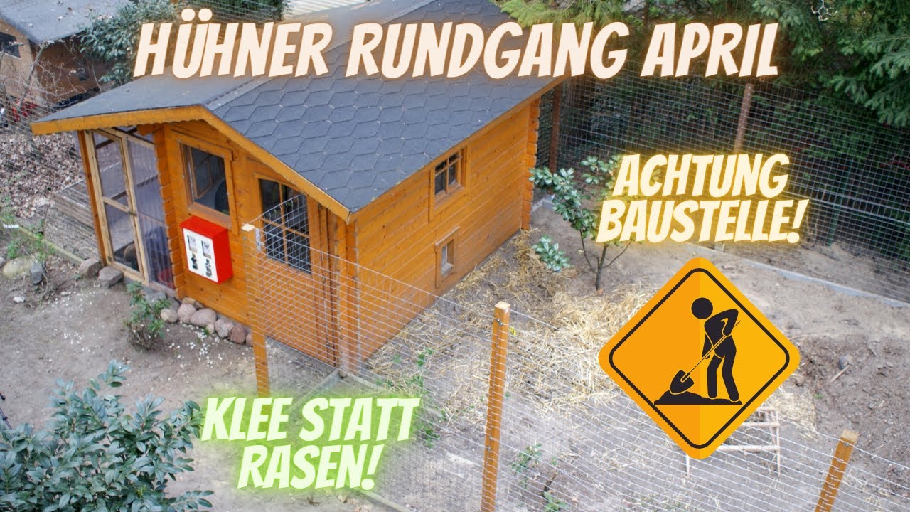 Hühner Rundgang April - Hühnergehege erweitern, Naturbrut, Klee als Nahrungsquelle, Stallpflicht