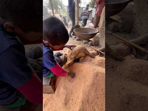 Amazing Tasty Chira Making Process 