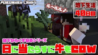 【ぽこなかくら＃290】地下生活40日目！ル～ルル♪地下に牧場も夢じゃない！？【マインクラフト】