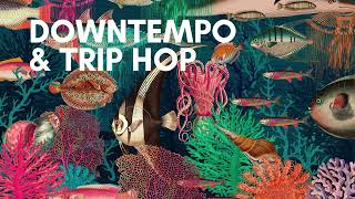 Underwater Downtempo