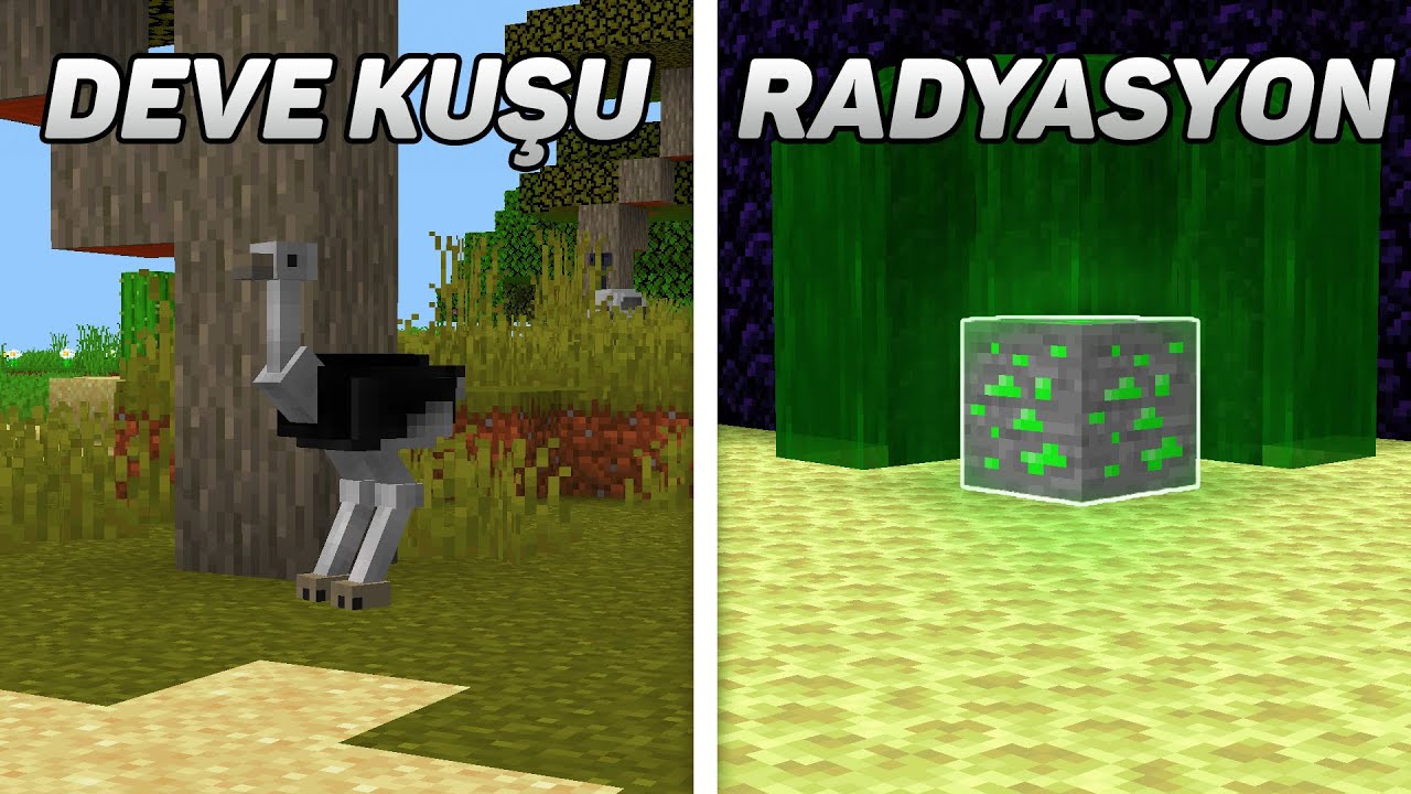 Minecraft'a Gelecek 10 GÜNCELLEME