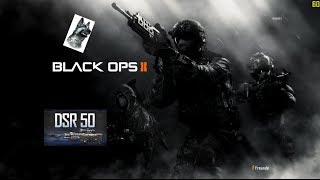 Black ops 2 FFA Sniper K9 (Veteran Bots)