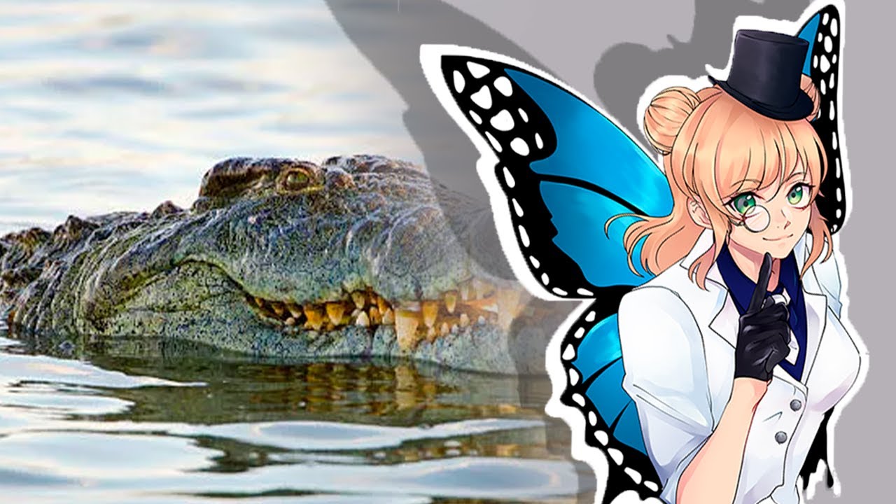 Hiyori reacciona a @davitxenko | MONSTRUOS REALES. TOP 6 devoradores de hombres