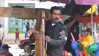 An Amazing Harpist on the Plaza Principal, Arandas, Mexico