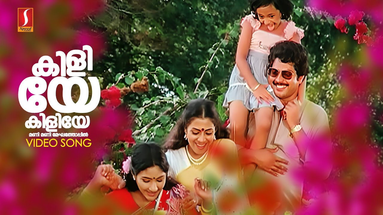 ⁣Kiliye Kiliyee Manimeghathoppil | Aa Raathri Movie Song | Mammootty | Ilayaraja | S Janaki