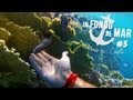 In Fondo al Mar #3 - Giocando tra i Coralli
