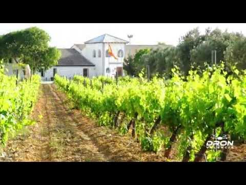 Tuotevideon pikkukuva