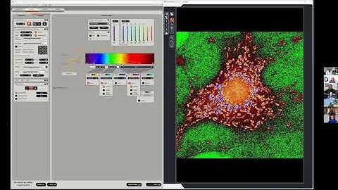 Confocal Microscopy Workshop: 2D Acquisition and Spectral Separation - James Hayden, BA, RBP, FBCA