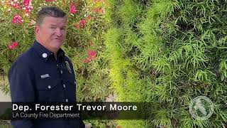 Harden Your Home from Wildfire -- Plants and Shrubs