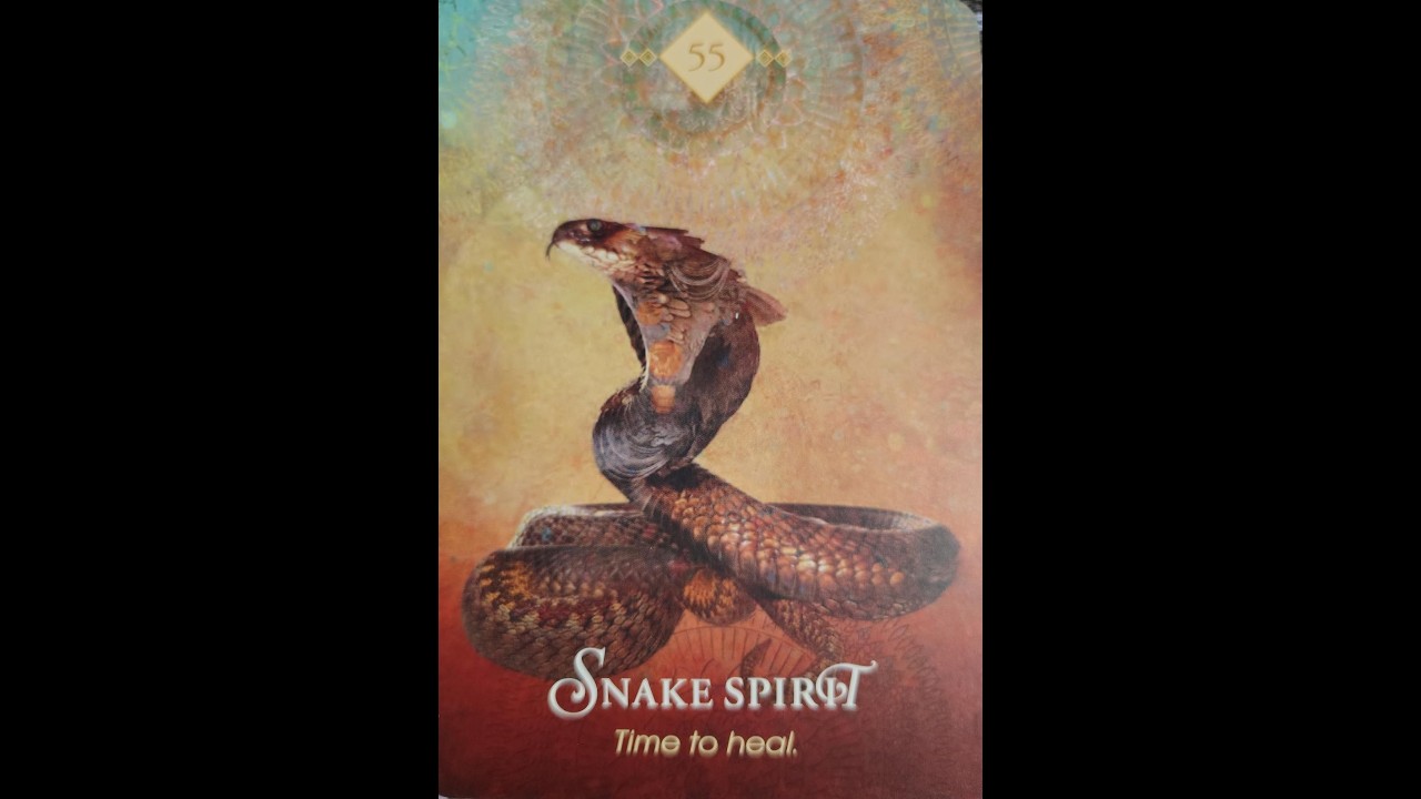 🐍 Feb 21, 2026 The next Spirit Animal Oracle is SNAKE ~ Time to heal ...