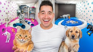 Rover vs Wag (BEST Pet Side Hustle?)