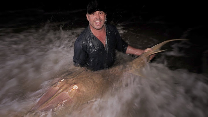 Un poisson SUPER BIZARRE capturé sur LA PLAGE ! - Cyril Chauquet