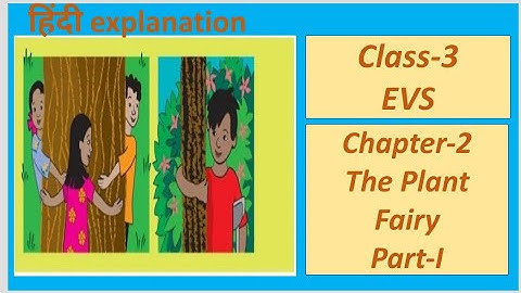The Plant Fairy(Part-I) हिंदी explanation | NCERT Class 3 EVS Chapter 2| CBSE Class 3 EVS