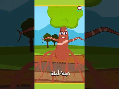   قناة بي جي كيدز أنشودة أنا الشجرة