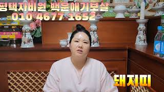 MBTI 조상내력 칠성줄 불사줄 신의줄기 북두칠성이 쏟아진다 돼지띠편 두 부모를 모셔요