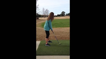 Level 1 Lesson 1 First 3 swings