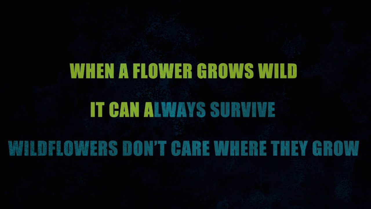 Wildflowers (Karaoke) by Dolly Parton