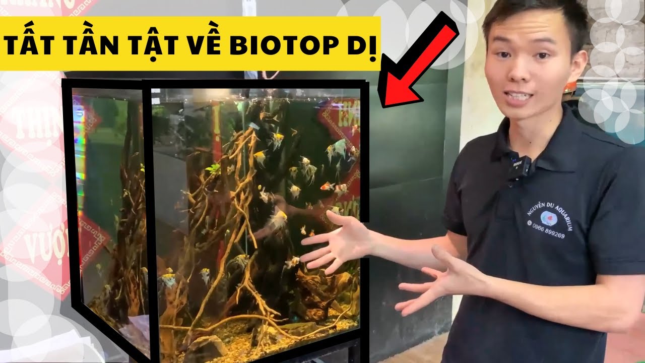 Tất Tần Tật về bể Biotop | Nguyễn Du aqua