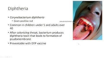 Chapter 22-OpenStax Microbiology