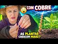 Como fazer as plantas crescer mais rápido com Eletrocultura eu te ensino 😍😱
