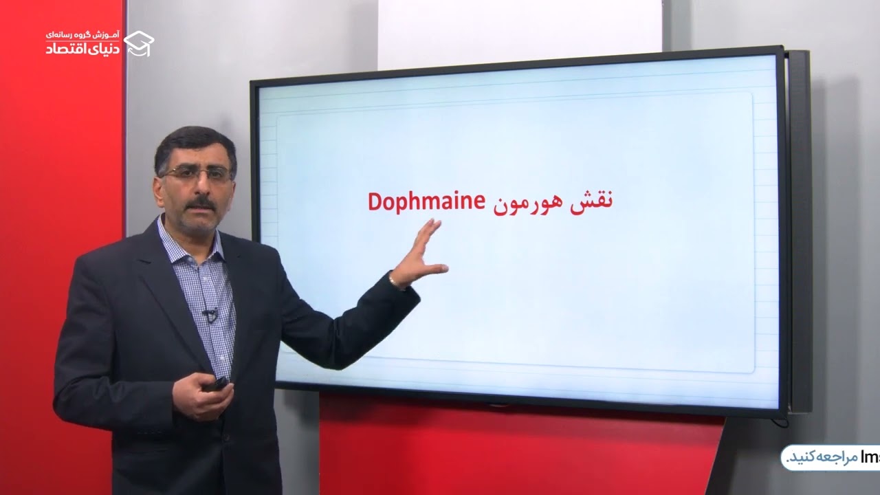 جلسه 6 آشنایی با کارکرد مغز در معاملات