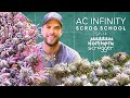 Ac infinity scrog school with northernscrogger  episode 2 building a scrog frame