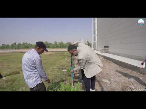 بالفيديو حملة تشجير في أروقة كلية الكوت الجامعة