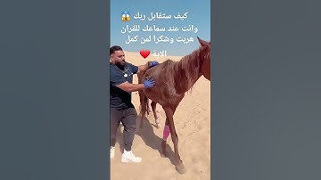 #اكتب شيئ تؤجر عليه#القارئ الشيخ عبدالرحمن مسعد#