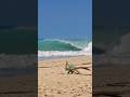 10 years after his first attempt, Michael Dunphy's fourth trip to this fickle sand spot paid off.