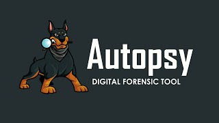 Cara menggunakan Software Autopsy Untuk Recovery Data (TUTORIAL) screenshot 3