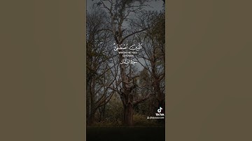ماتيسر من سورة النمل بصوت الشيخ ياسر الدوسري ❤️ #قرآن #اكسبلور #quran #قران_كريم #حالات_واتس #لايك