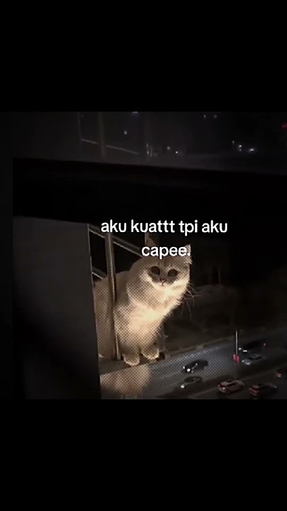 pura-pura kuat di hadapan semua orang padahal capek