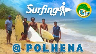 පැය බාගෙන් Surf කරන්න ඉගෙනගමු 🏄 | Polhena Beach #chat #surfing #srilanka #polhena #beach