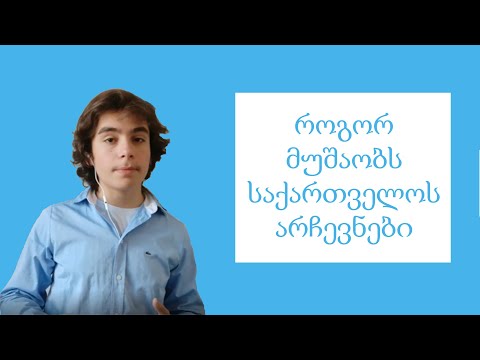 საქართველოს არჩევნები | რა და როგორ