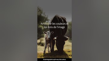 Rehausser les tons d’une image – Tutoriel sur les appareils mobiles @withluke | Adobe France