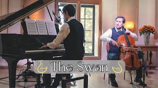 The Swan - Carnival Of The Animals By Saint-Saëns