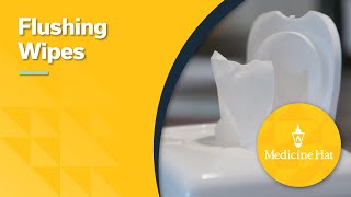Flushing Wipes