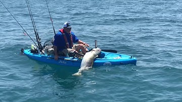 CCA Intro Video 2018