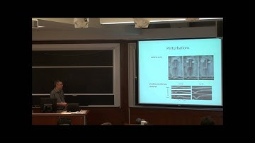 GEM4 2012 @ MIT - Mechanics of Development II: Modeling Morphogenesis