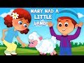 Mary có một con cừu nhỏ | vần cho trẻ mới biết đi | bài hát cho em bé | Mary Had A Little Lamb