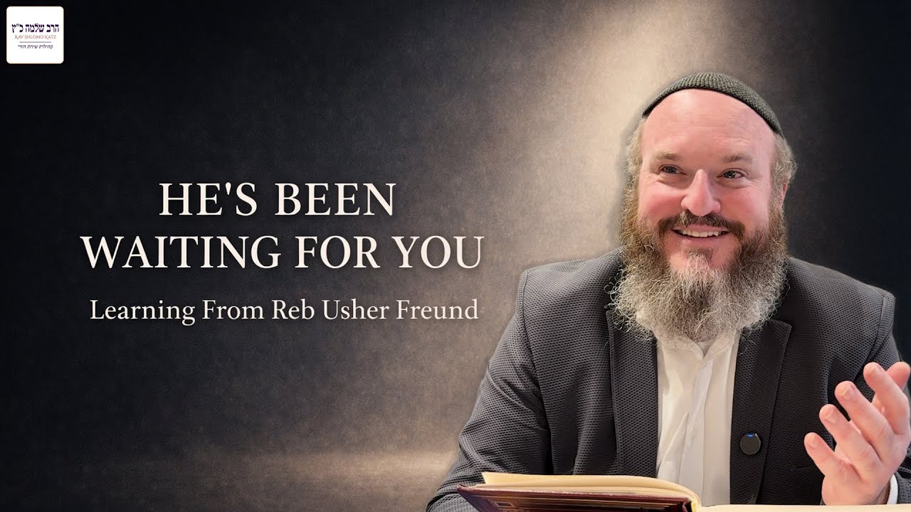 Rebbe Nachman’s Invitation Through Reb Usher | Learning From Reb Usher Freund (17)