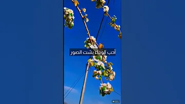اجمل نشيد في العالم أحب الوفاء بشت الصور 