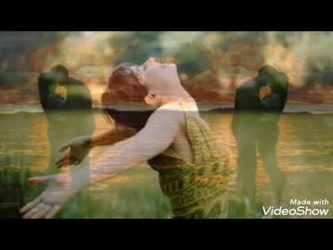 كل ما بشوفك صباح