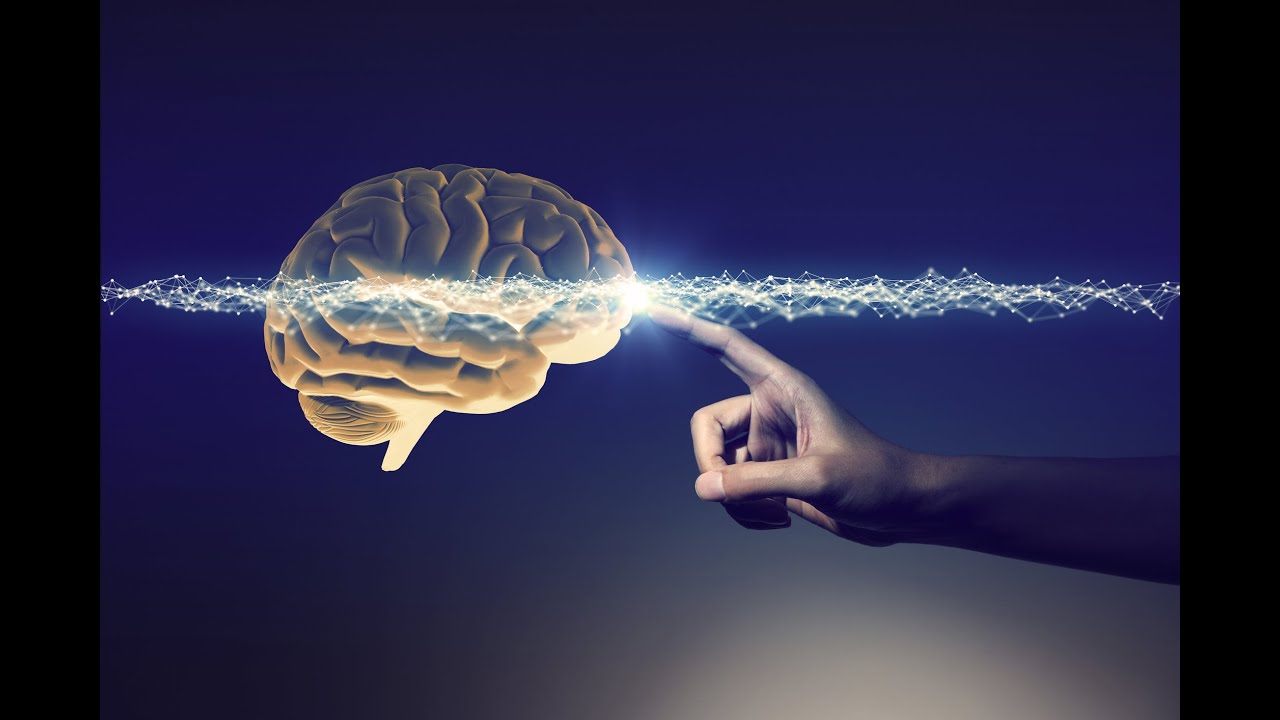 ﺍﻟﺬﻛﺎﺀ ﺍﻟﻌﺎﻃﻔﻲ - ﺍﻟﻌﻨﺼﺮ ﺍﻟﺜﺎﻧﻲ: ﺍﻟﺘﺤﻜﻢ ﻓﻲ ﺍﻻﻧﻔﻌﺎﻻﺕ / داليا رشوان