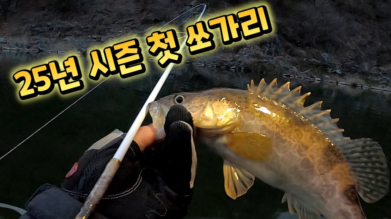 25년 첫쏘가리 EP-259