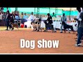 Thrissur dog show 😍