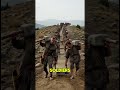 The Untold Story of the Great Wall of China in 60 Seconds